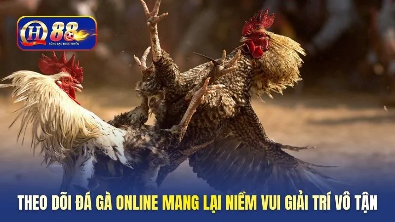theo-doi-da-ga-online-mang-lai-niem-vui-giai-tri-vo-tan